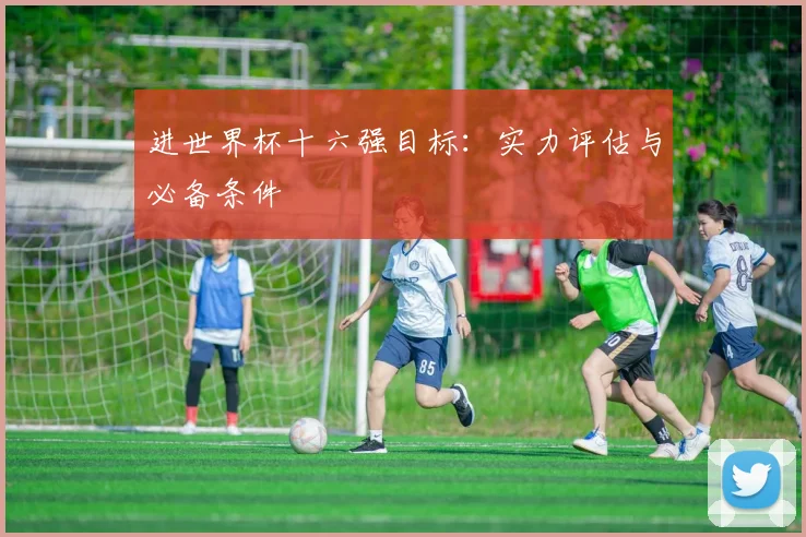 进世界杯十六强目标:实力评估与必备条件