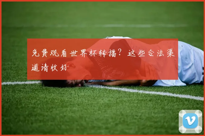 免费观看世界杯转播？这些合法渠道请收好